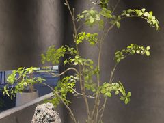 -梁溪河畔·吉府花园(南长街南下塘店)