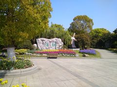 -上海鲜花港
