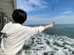 -海驴岛(荣成市)