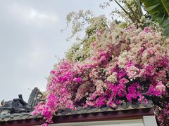 -深圳国际园林花卉博览园