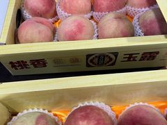 -南汇水蜜桃采摘(大团店)