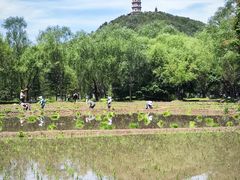 -北坞公园
