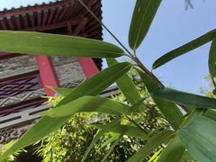 -茂陵博物馆