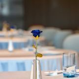  打卡毛纪上品捞菜排骨！一端上桌，香气扑鼻