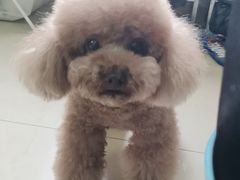 -周记茗点居(西村店)