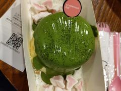 -狐狸和向日葵(北京路店)