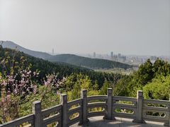 -佛慧山