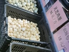 -园林美食城·本土农家菜(杨和镇店)