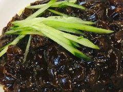 -桃园中华料理炸酱面(燕儿岛路店)