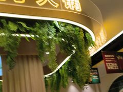 -旧县羊蝎子(旧县店)