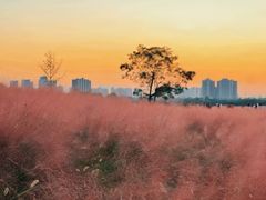 -汉长安城未央宫国家考古遗址公园