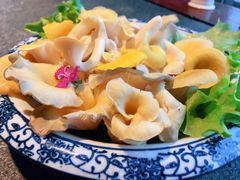 玉皇菇-大匠工房古船木艺术餐厅·猪肚鸡专门店(长白仙岛店)