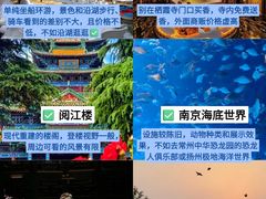 -李百蟹·江南蟹黄面·河景餐厅(夫子庙总店)