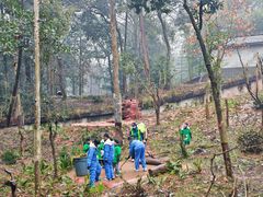 -中国大熊猫保护研究中心雅安碧峰峡基地