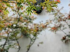 -沧浪亭