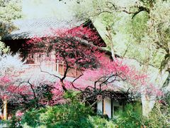 -杭州植物园