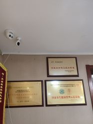 -再清椿美容