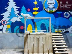 -海合安青岛极地海洋公园
