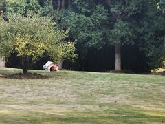 -华东政法大学(松江校区)