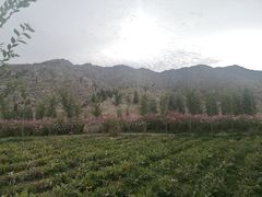 -可可托海景区