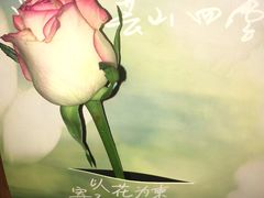 -芸山季·云南山珍菌火锅(人民广场来福士店)