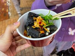 -黑色经典臭豆腐·湖南特产(坡子街店)
