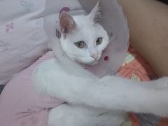 -宠颐生中康贝怡动物医院