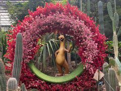 -呀路古热带植物园