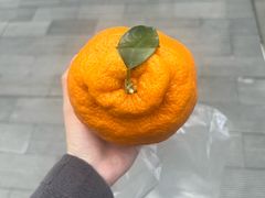-满诗爷黄辣丁(金岛花园店)