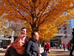 -辽宁大学(崇山校区)