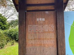 -西双版纳原始森林公园