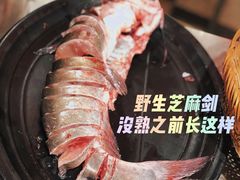 -刘姐啤酒鱼民族演艺餐厅(西街总店)