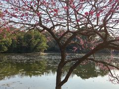 -兰亭风景区
