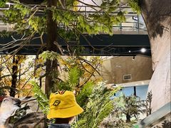 -湖南省地质博物馆