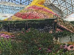-花之城