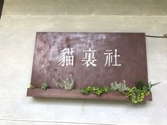 -猫里有甜