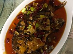 -老苏扬饭店