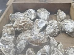 -福禧荟·海鲜自助