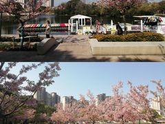 -新江湾城公园