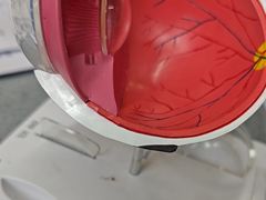 -武汉大学附属爱尔眼科医院(湖北总院)