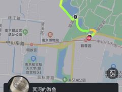 -紫金山山顶公园