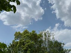 -翠贝卡&Mama Kelly Brunch Coffee(河西店)