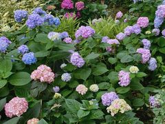 -常州古运河南大街文化旅游区-人民公园