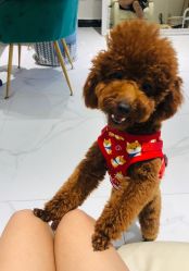 -J·C NAIL美甲美睫