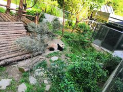 -黔灵山公园