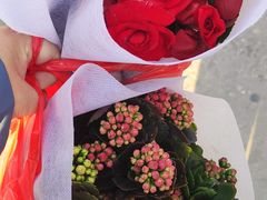 -中环花鸟鱼虫市场