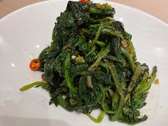 孜然小菠菜-boundaries籬苑(瑞光创意工厂-贰号院店)