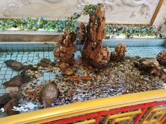 -良友·海鲜青岛菜(五四广场店)