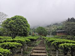 -姑婆山旅游区
