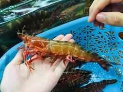 -班赞海鲜市场